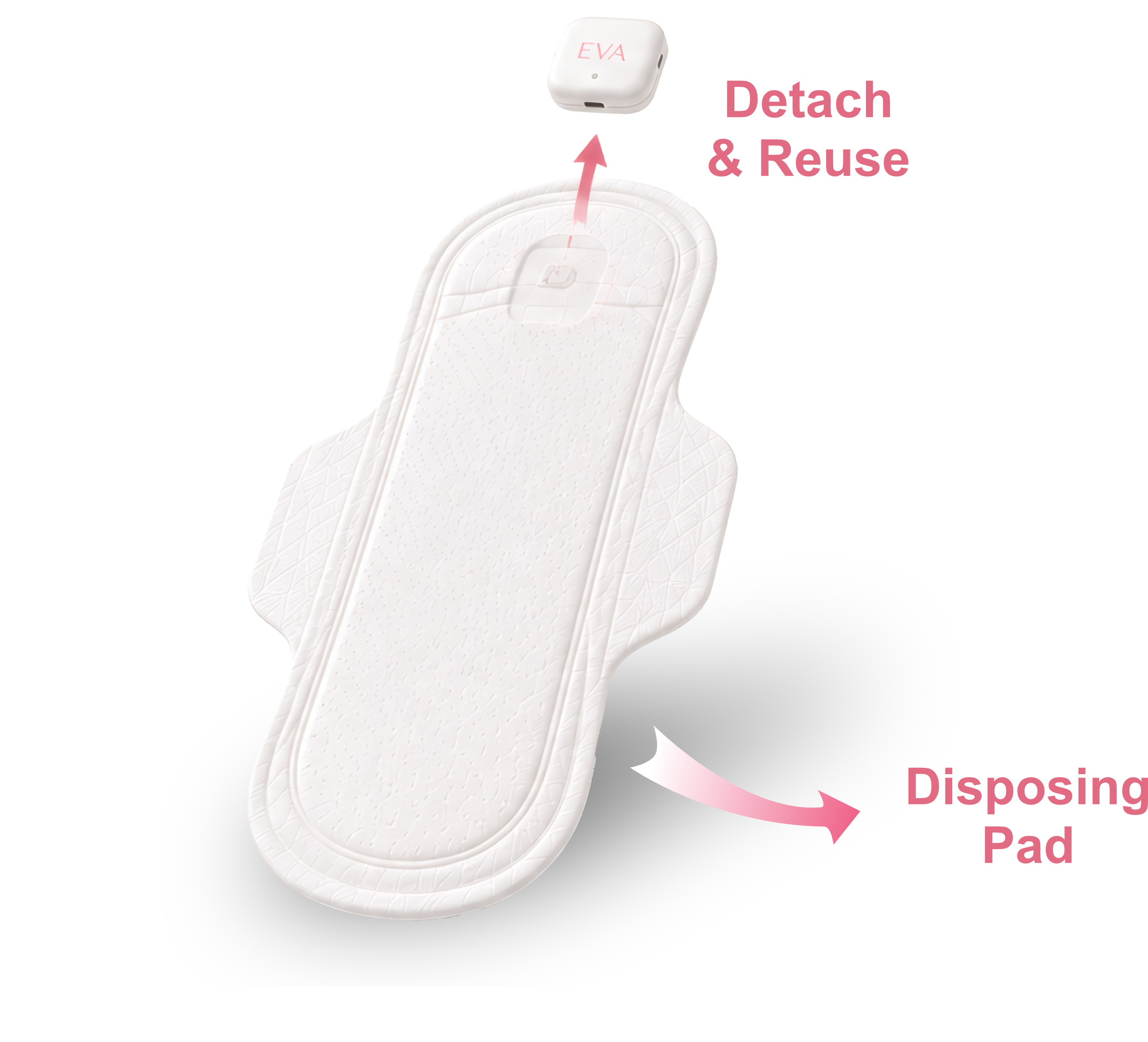 Detachable EVA reader