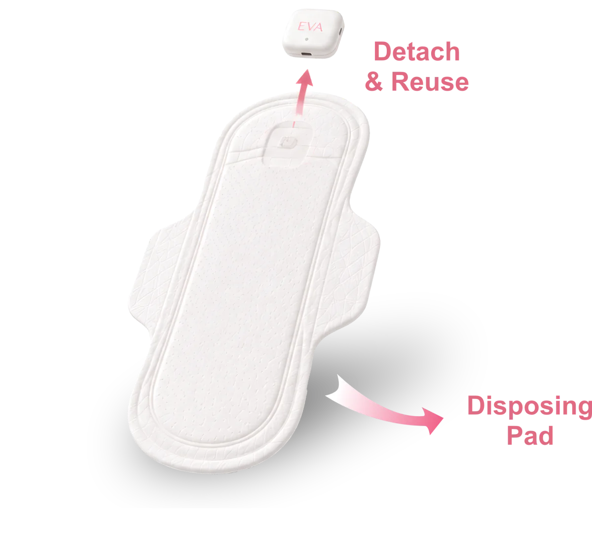 Detachable EVA reader